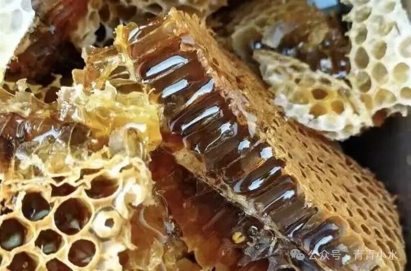 土蜂蜜：百花精酿 自然醇厚